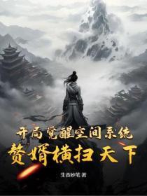 开局觉醒空间系统,赘婿横扫天下