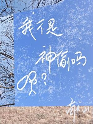 我不是神偷吗?