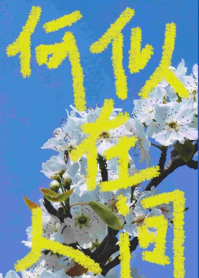 分手后,和联姻对象he了