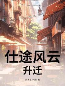 仕途风云:升迁