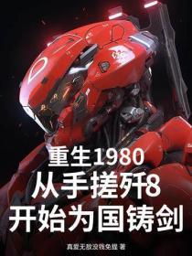重生1980,从手搓歼8开始为国铸剑