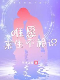 唯愿来生不相识