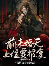 前未婚夫上位要报复,我携双宝整顿他