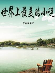 世界上最美的小说