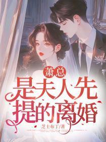 萧总,是夫人先提的离婚