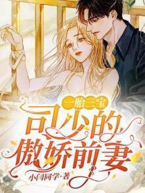 一胎三宝:司少的傲娇前妻