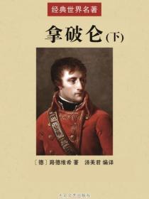 拿破仑(下)