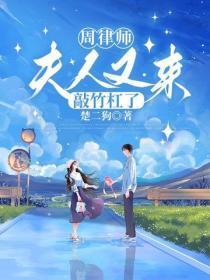 周律师,夫人又来敲竹杠了