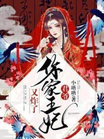 君爷,你家王妃又炸了