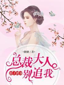 影子替身:总裁大人别追我