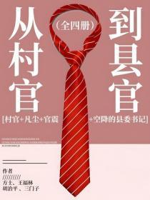 从村官到县官（全四册）