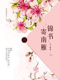锦书寄南雁