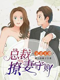 宠妻无度:总裁撩妻守则