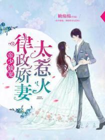帝少独宠:律政娇妻太惹火