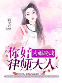 大婚晚成:你好,律师大人