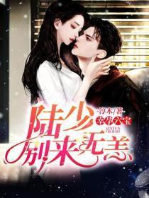幸孕六宝:陆少,别来无恙