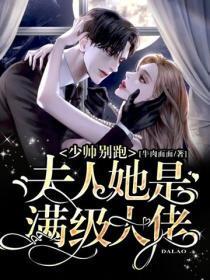 少帅别跑:夫人她是满级大佬