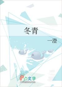 冬青