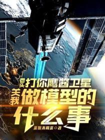 老头打你鹰酱卫星,关我做模型的什么事