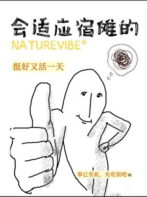 『咒回』没关系会适应宿傩的