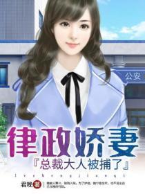 律政娇妻：总裁大人被捕了