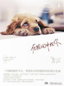 在轮回中找你