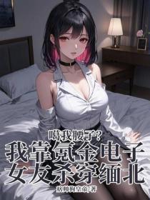 噶我腰子？我靠氪金电子女友杀穿缅北