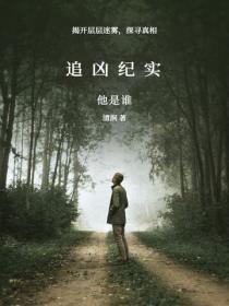 追凶纪实