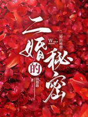 二婚的秘密