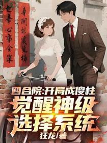 四合院:开局成傻柱,觉醒神级选择系统