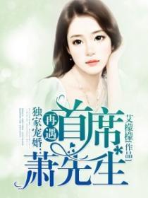 独家宠婚,再遇首席萧先生