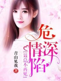 危情深陷,聂总不再见