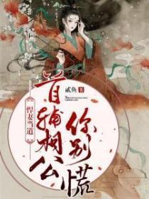 悍妻当道:首辅相公你别慌