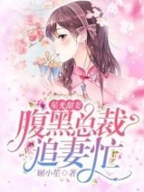 星光甜妻,腹黑总裁追妻忙