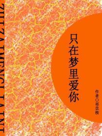 只在梦里爱你（短篇）