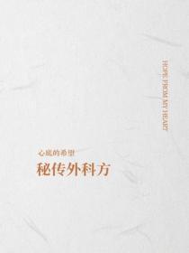 秘传外科方