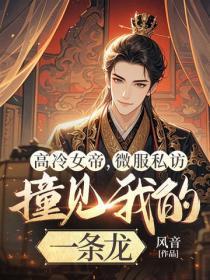 高冷女帝,微服私访撞见我的一条龙