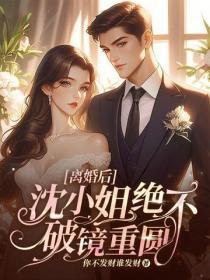 离婚后,沈小姐绝不破镜重圆